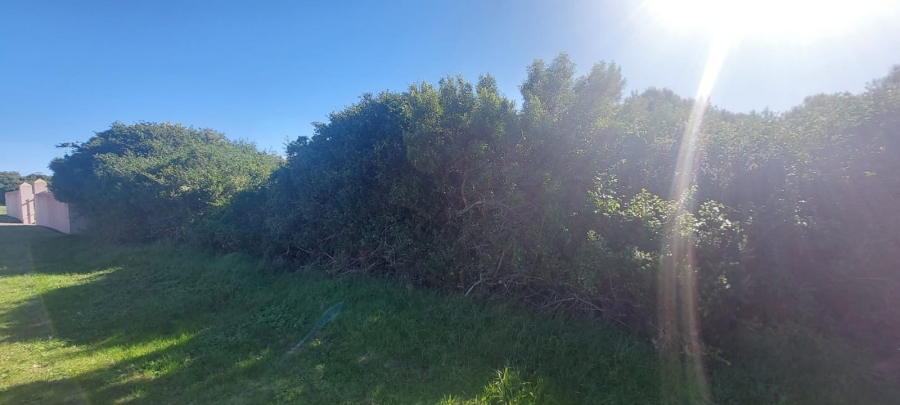 Commercial Property for Sale in St Francis On Sea Phase I Eastern Cape